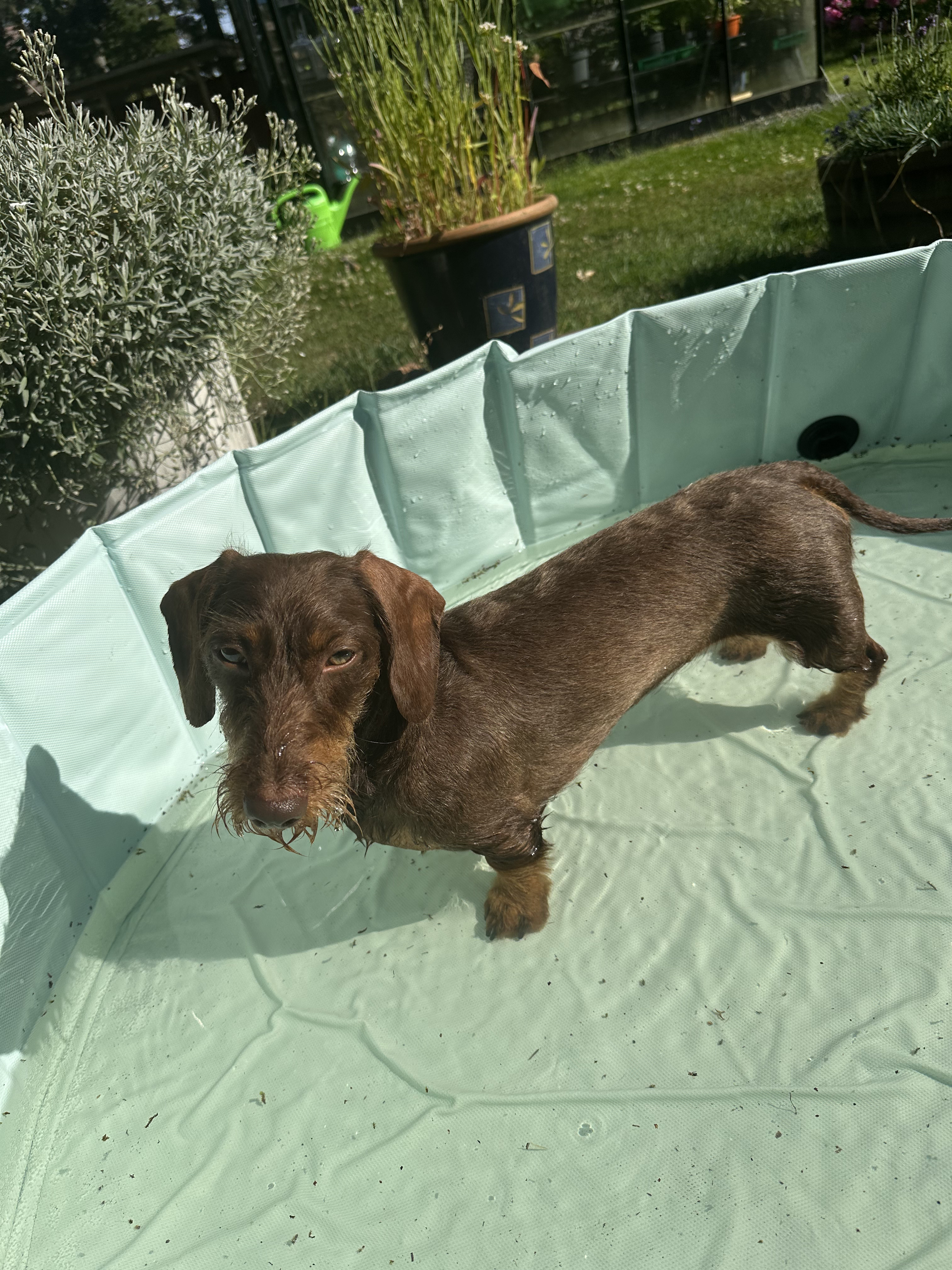Ruth i pool
